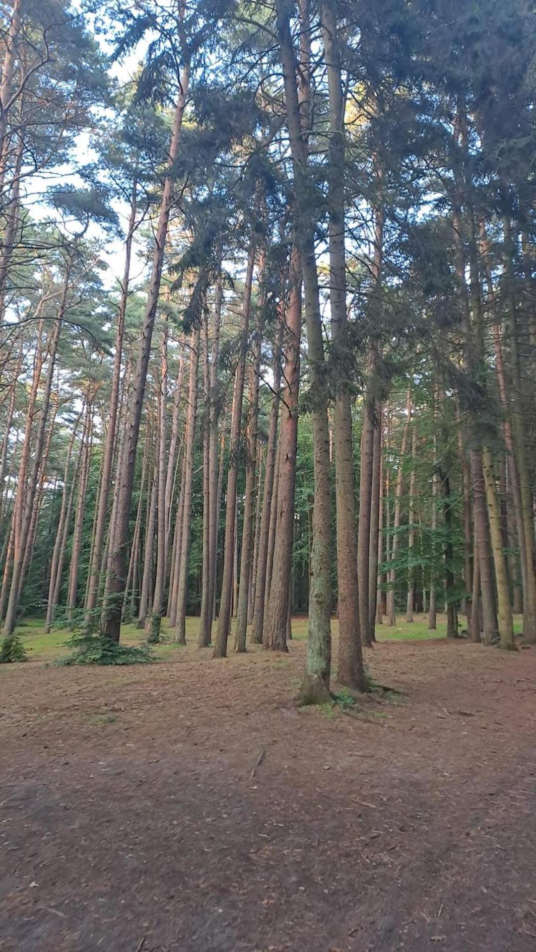 Pobierowo Baltic Apartaments D5 외부 사진