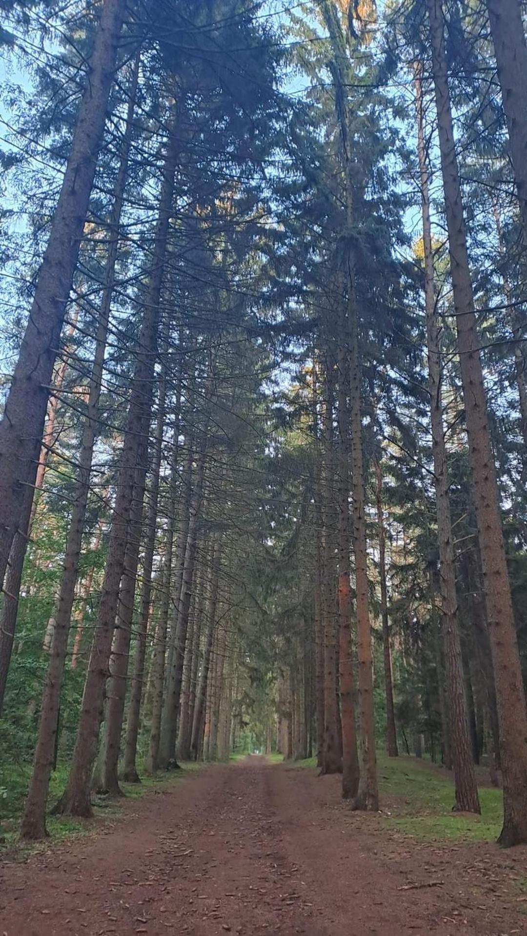 Pobierowo Baltic Apartaments D5 외부 사진